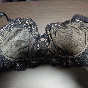 Dorina Lace Bra